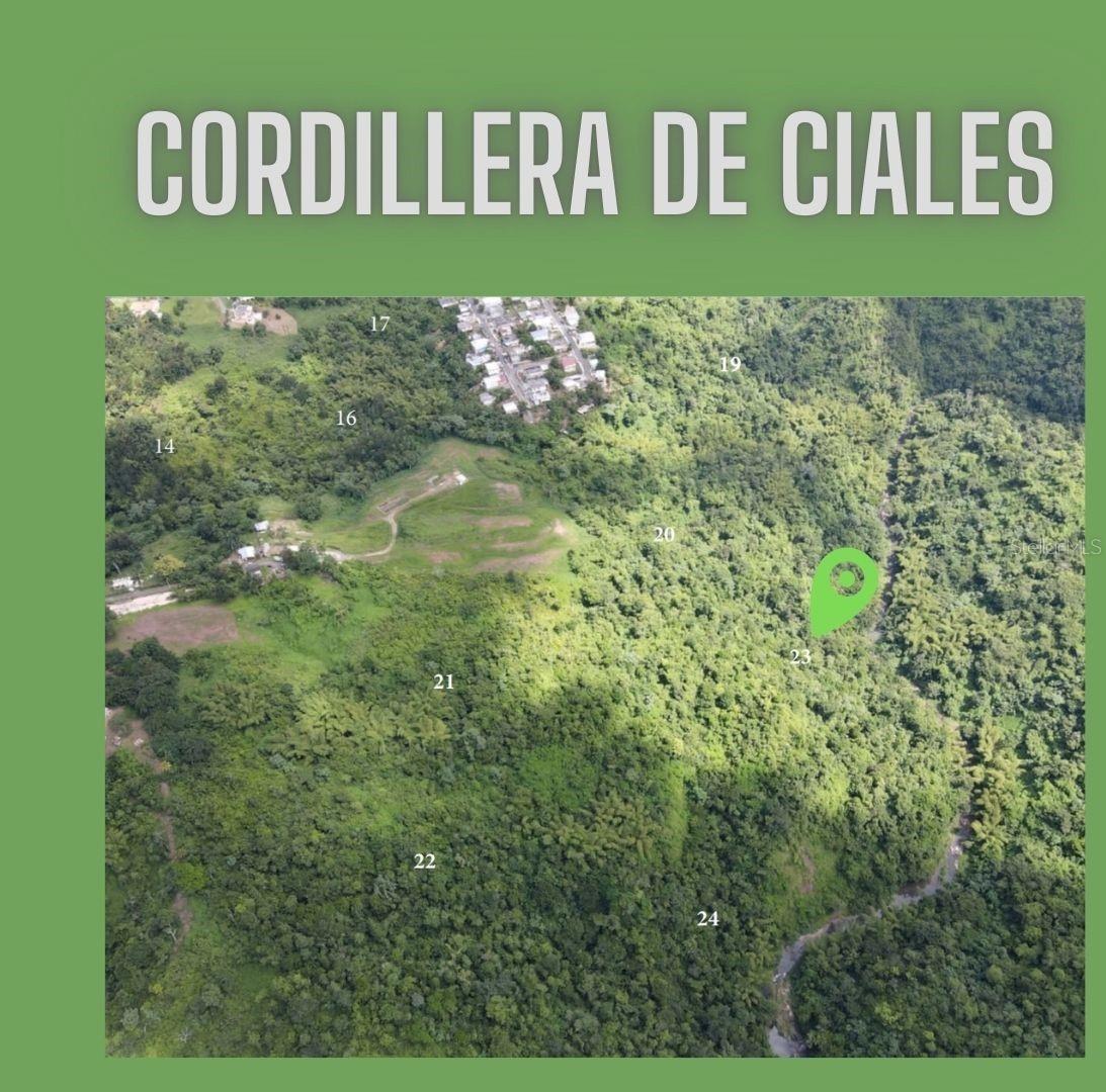 Sr 146 Km. 19.4 Interior Bo Cordillera Property Photo 8