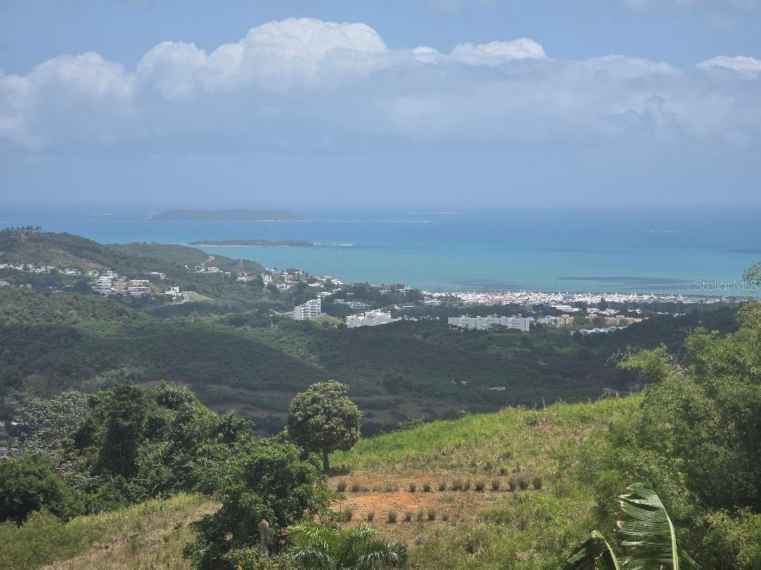 Quintas De Ceiba #12 Property Photo 1