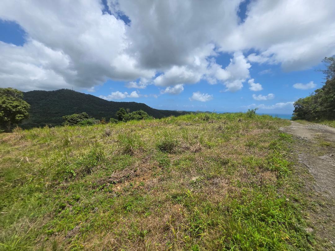 Quintas De Ceiba #12 Property Photo 2