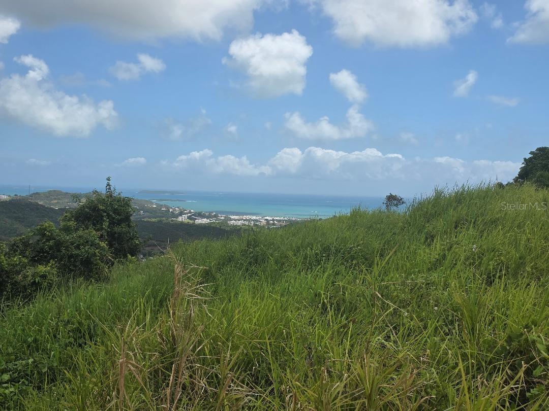 Quintas De Ceiba #12 Property Photo 3