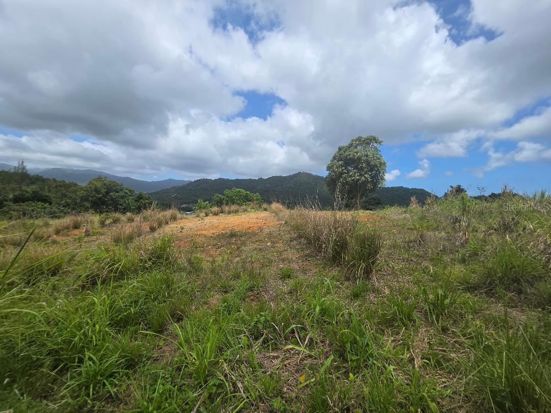 Quintas De Ceiba #12 Property Photo 5