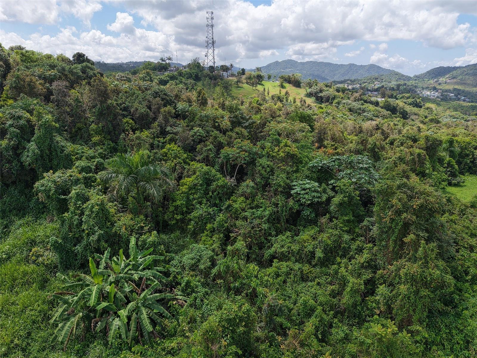 Pr 7718 Km 3.6 Pasto Ward Property Photo 4