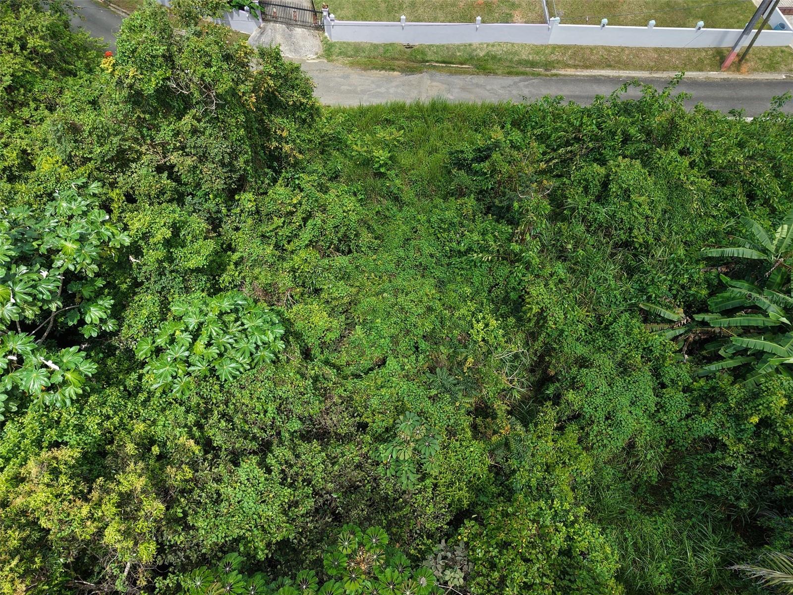 Pr 7718 Km 3.6 Pasto Ward Property Photo 5