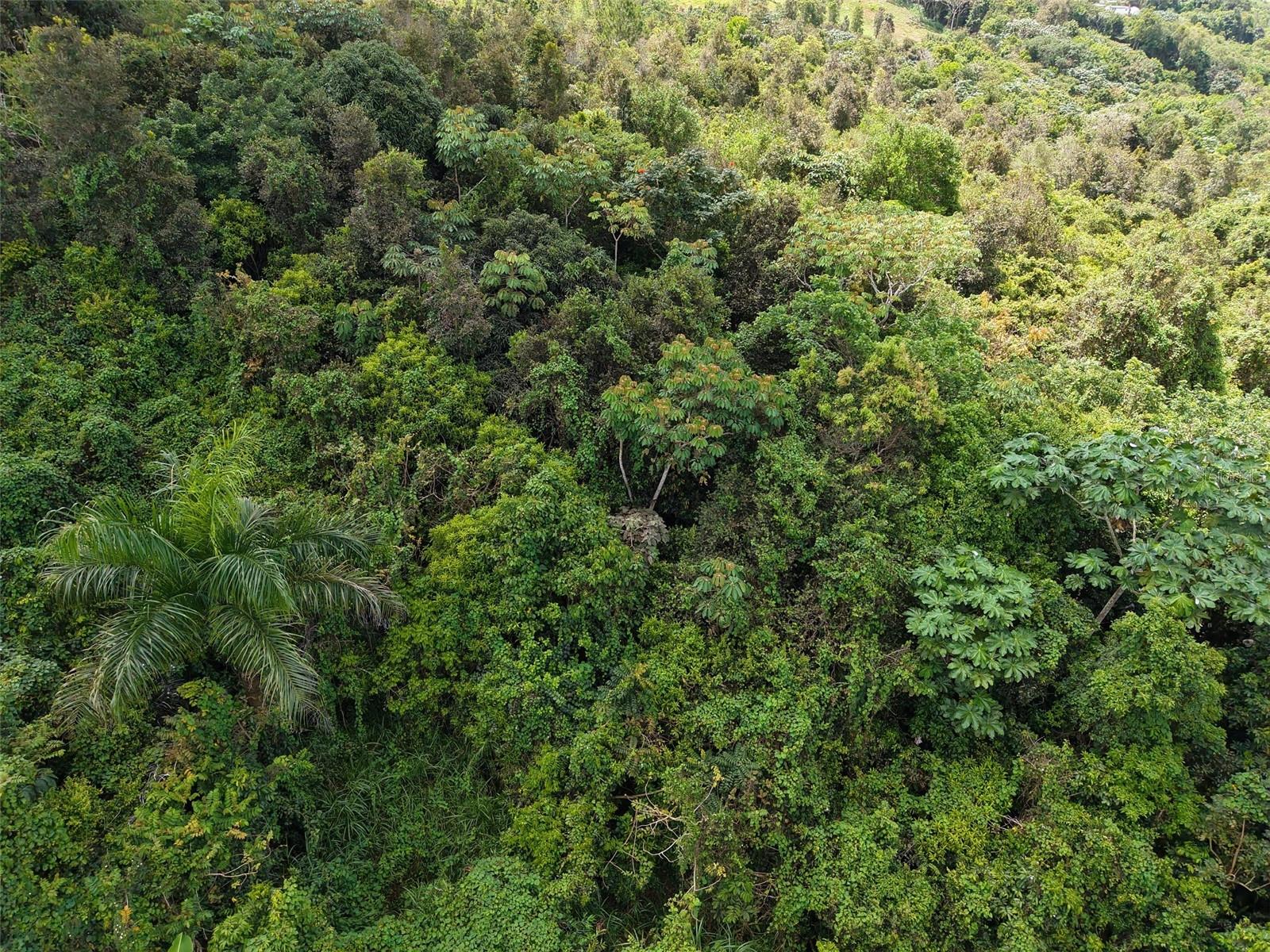 Pr 7718 Km 3.6 Pasto Ward Property Photo 8