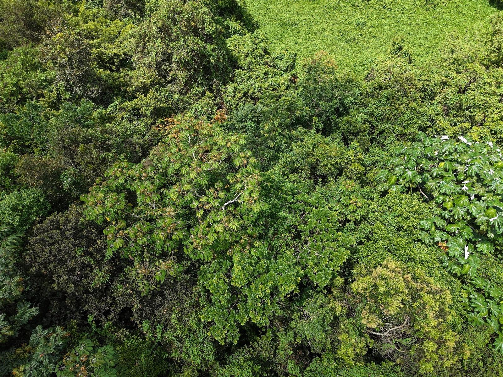 Pr 7718 Km 3.6 Pasto Ward Property Photo 9