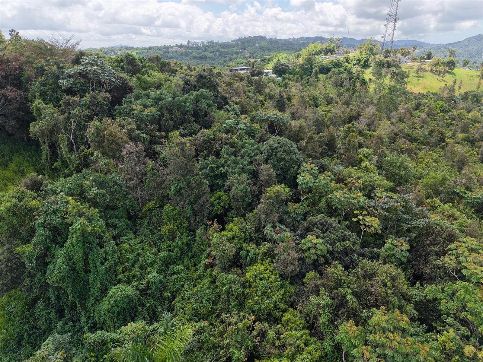 Pr 7718 Km 3.6 Pasto Ward Property Photo 10