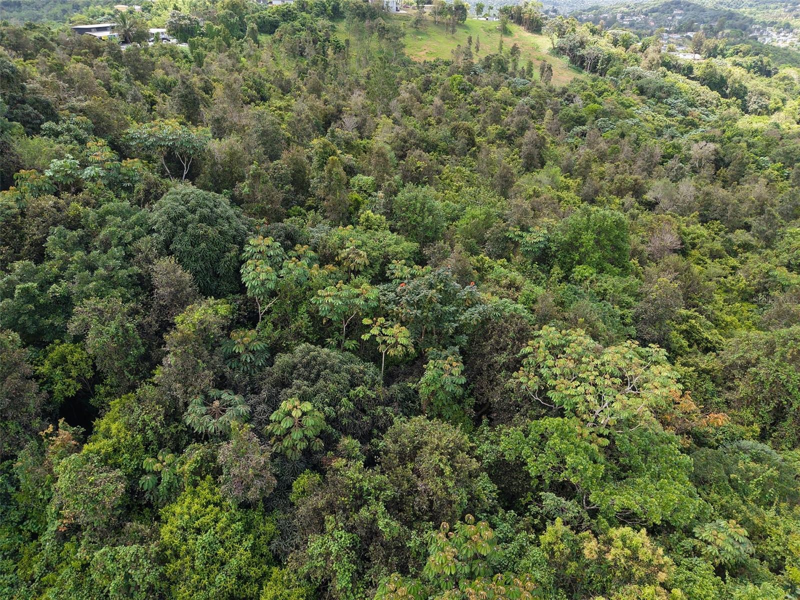 Pr 7718 Km 3.6 Pasto Ward Property Photo 12