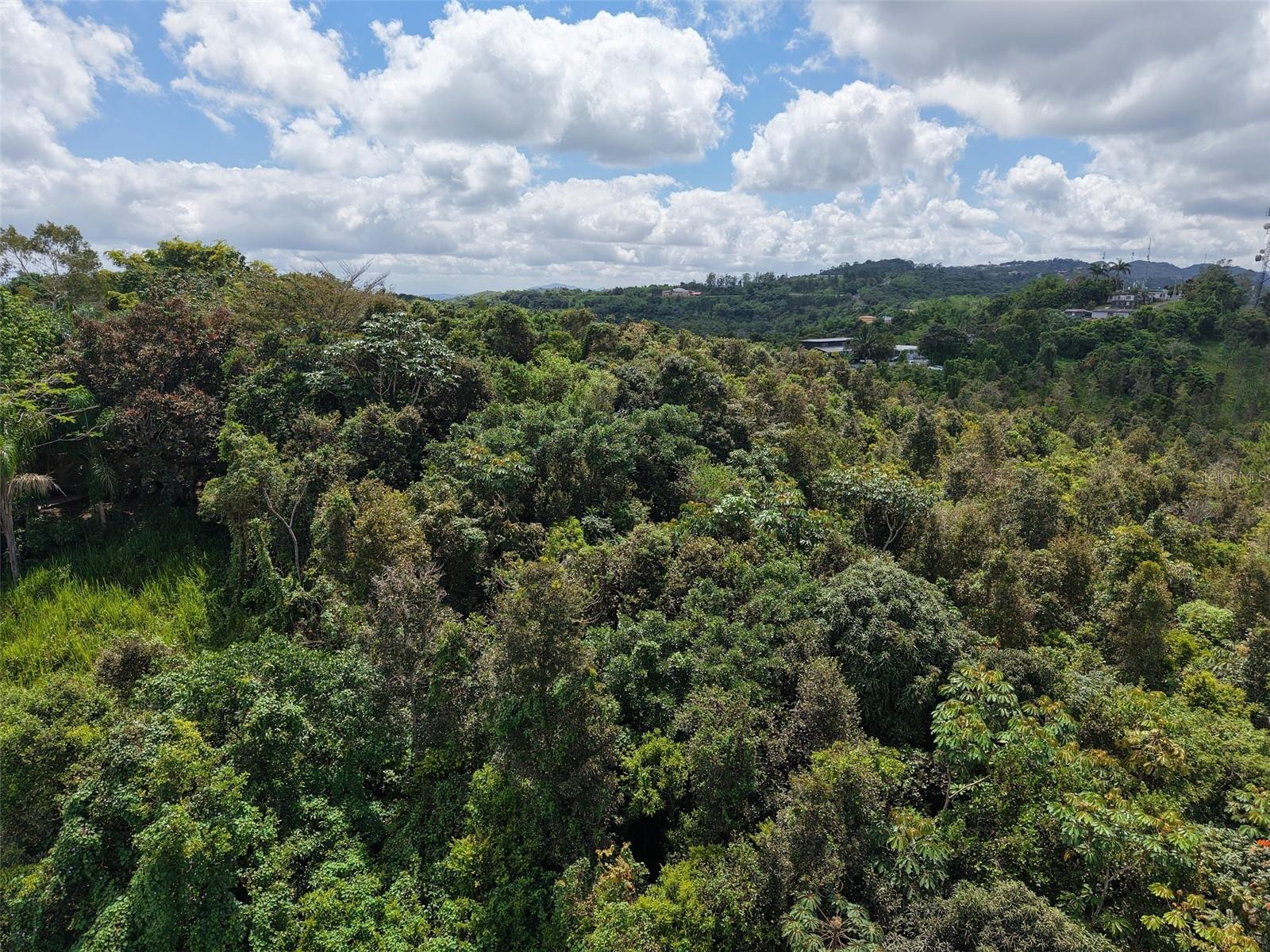 Pr 7718 Km 3.6 Pasto Ward Property Photo 14