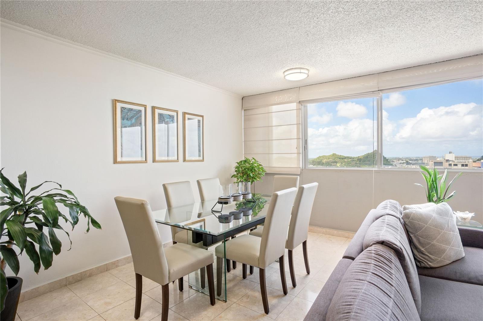 1704 San Patricio Ave #1704 Property Photo 8