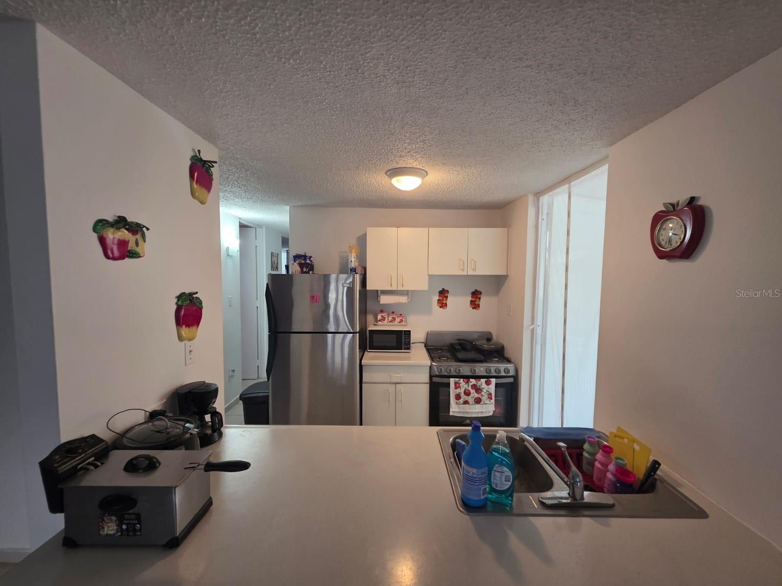 J-7 Juan Carrion Property Photo 5