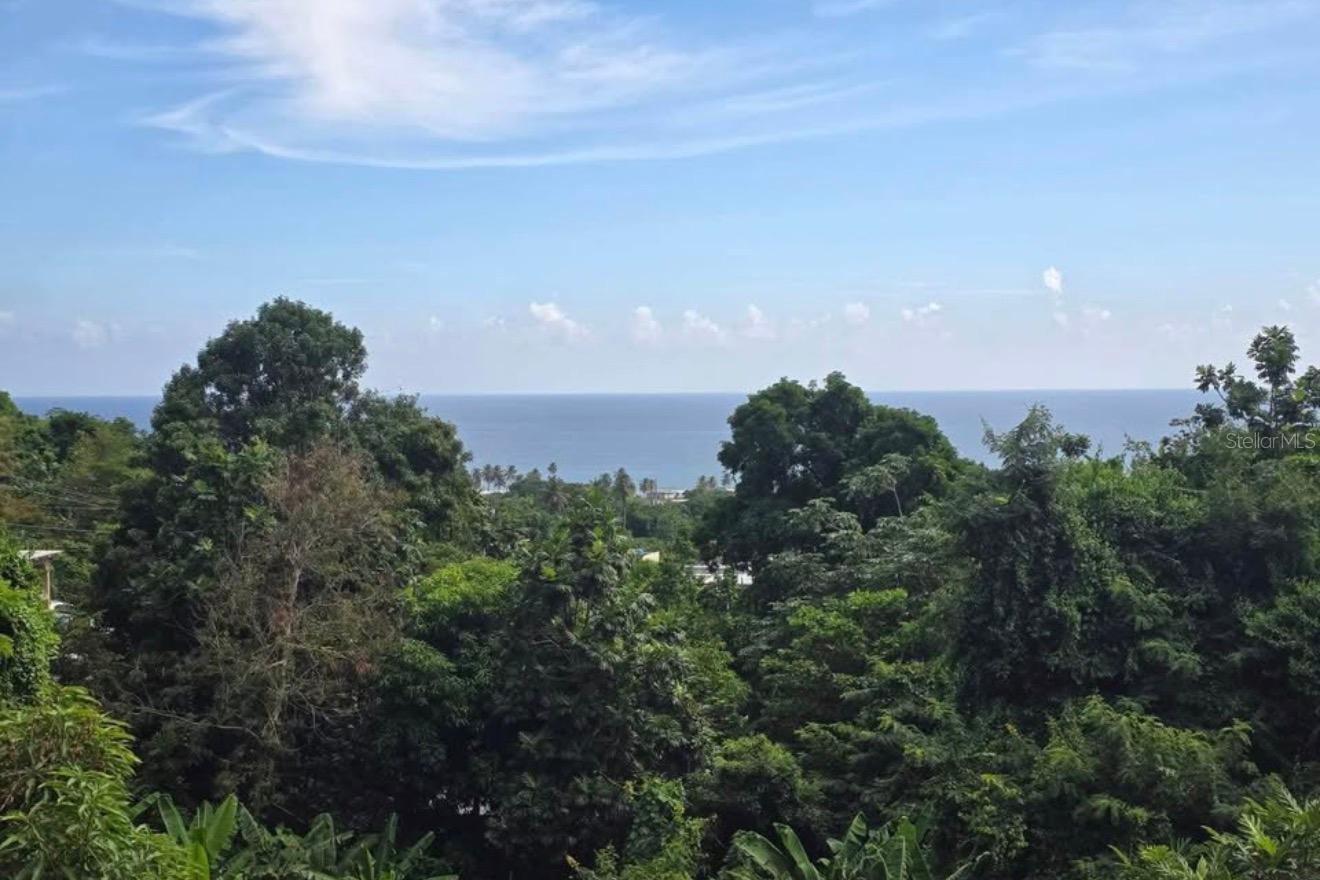 290 Calle Ceiba Property Photo 3