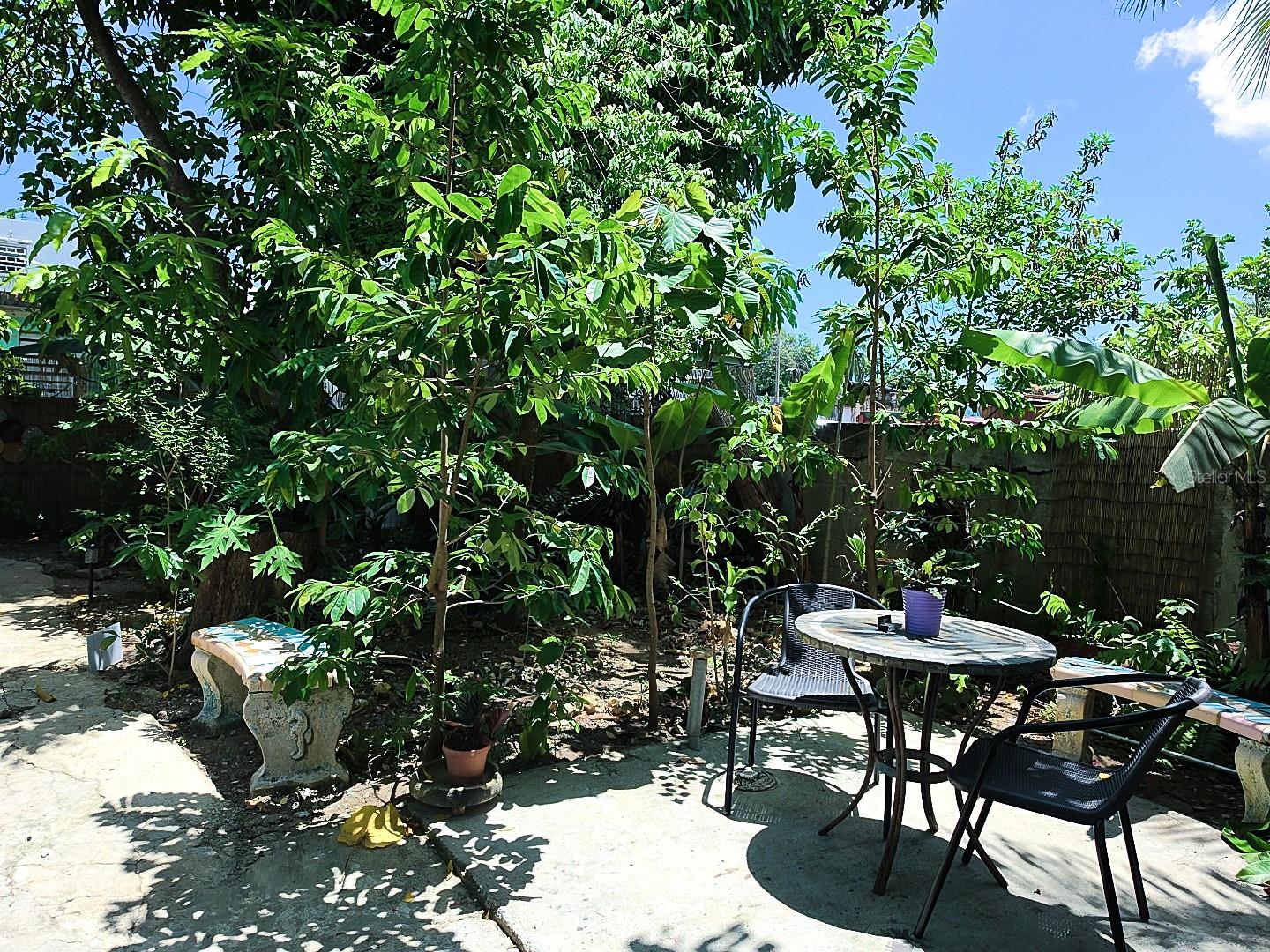 74b Carr, 188 Property Photo 39