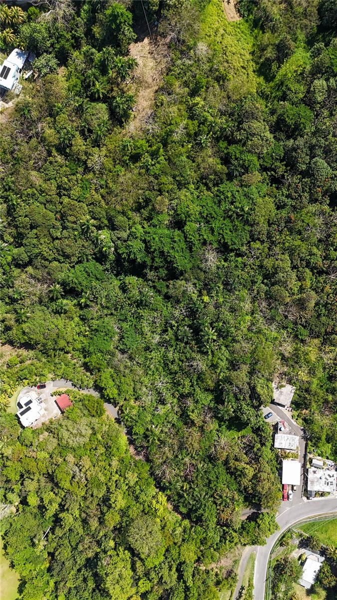 Carr. 414 Km 3.2 Bo.cruces Property Photo 6