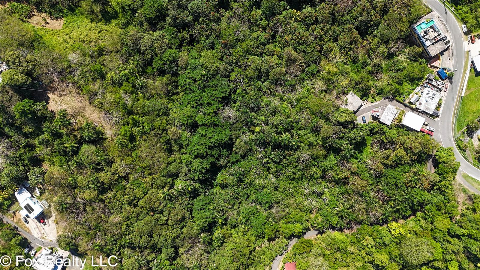 Carr. 414 Km 3.2 Bo.cruces Property Photo 9