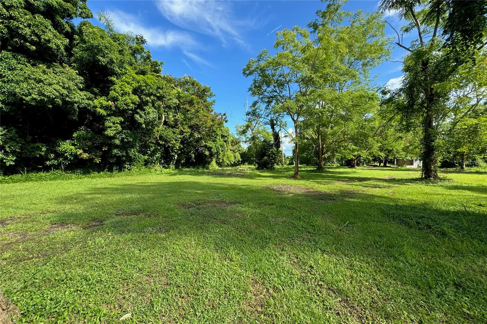 Las Lomas Property Photo 1