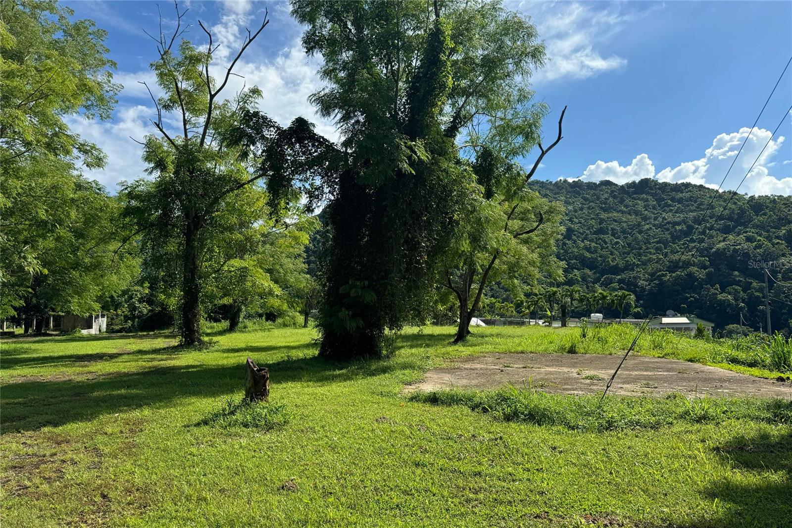 Las Lomas Property Photo 10