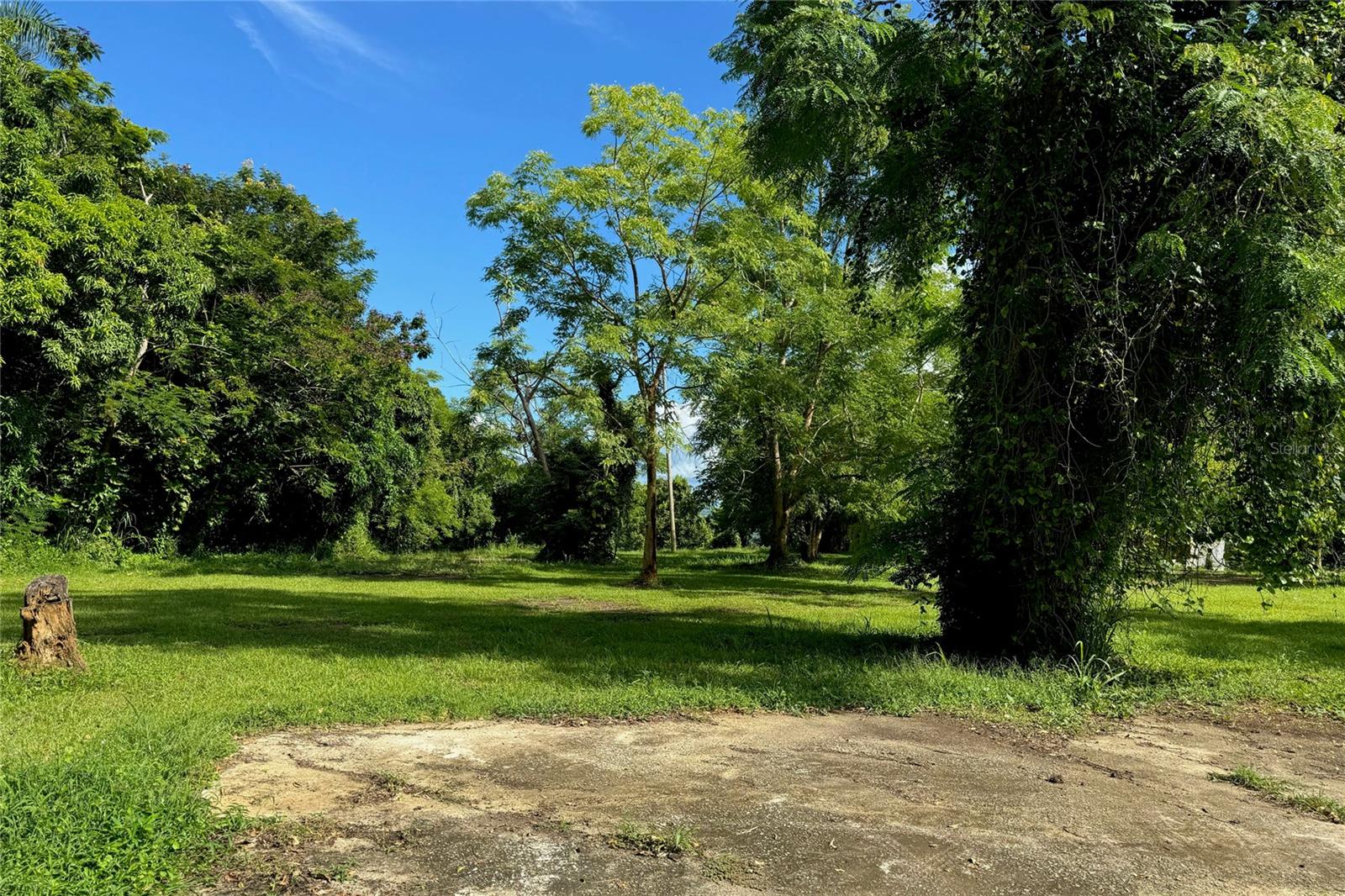 Las Lomas Property Photo 12