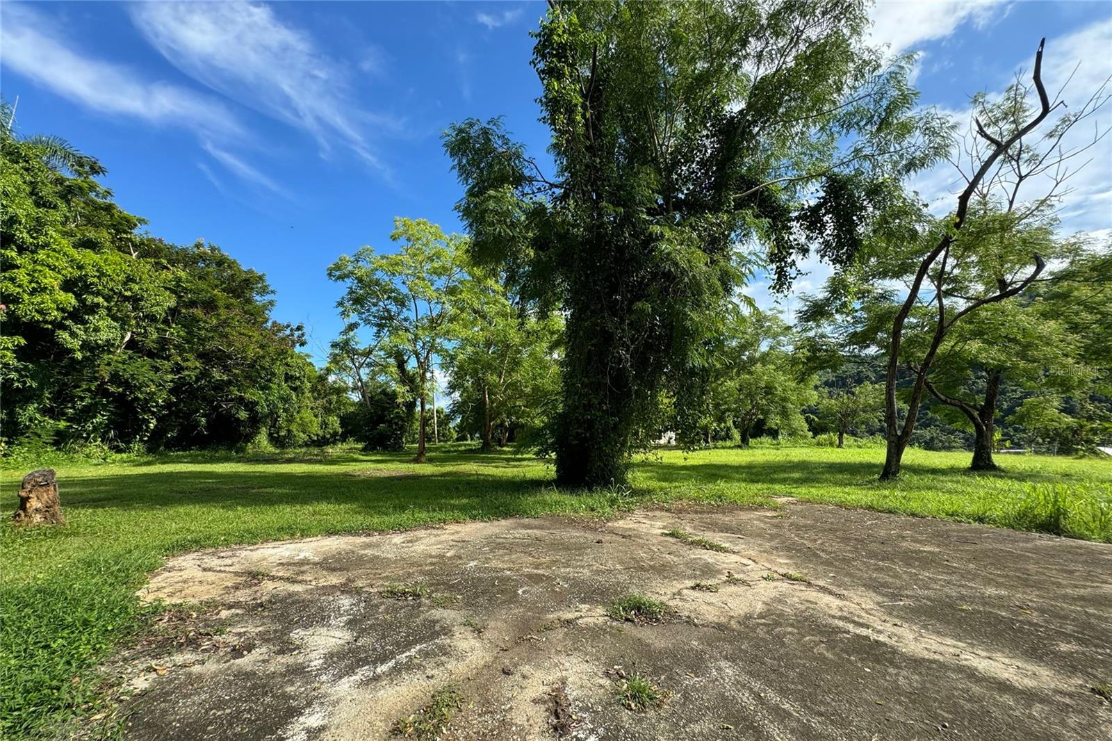 Las Lomas Property Photo 13