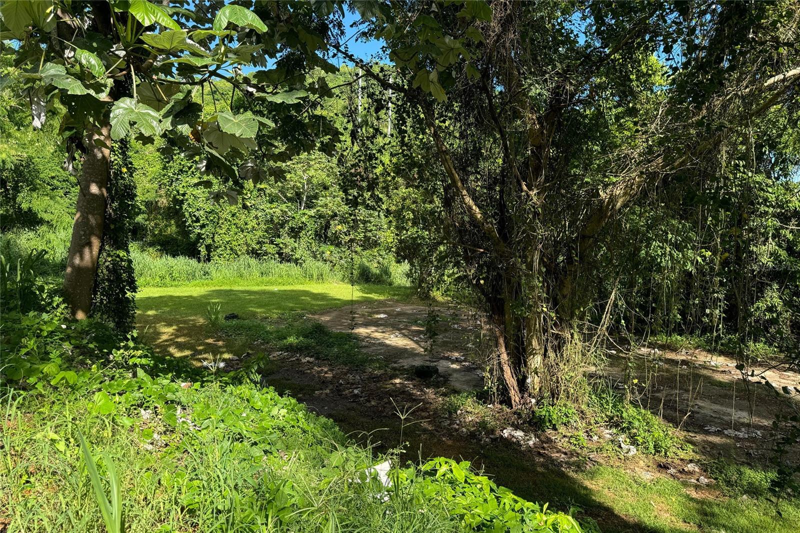 Las Lomas Property Photo 14