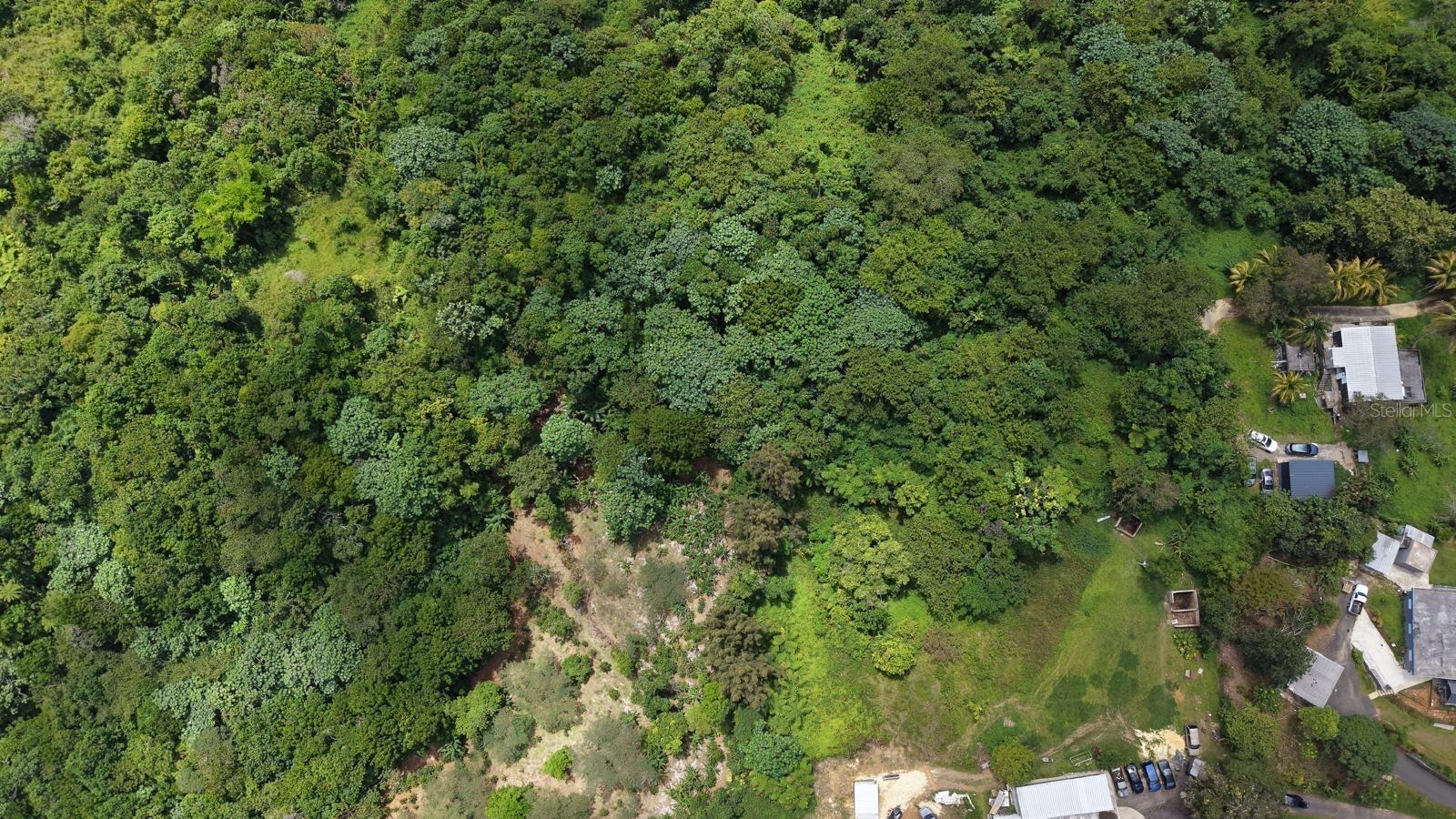 Camino Vitoriano Property Photo 13
