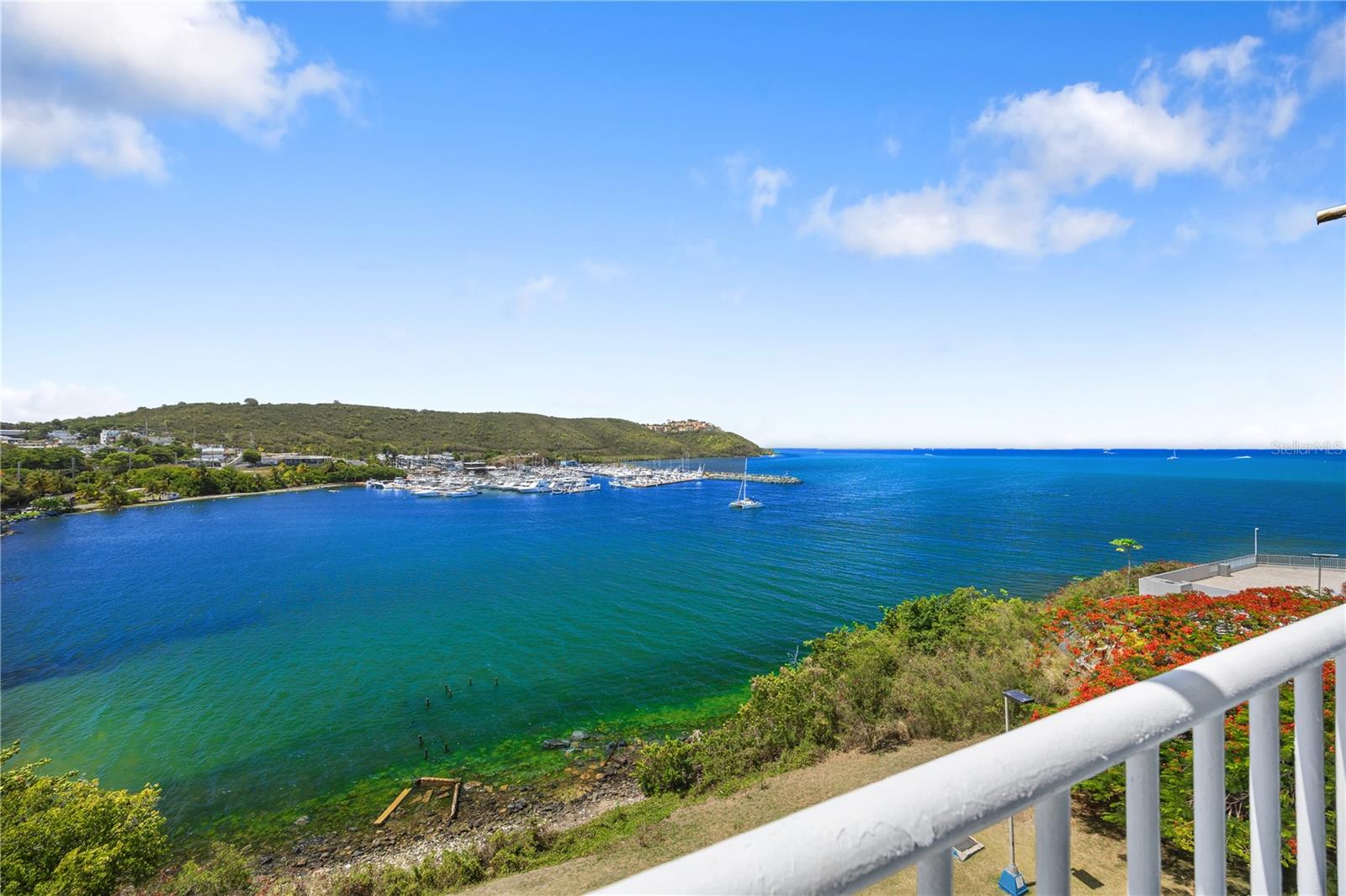 PR9121423 Property Photo 4