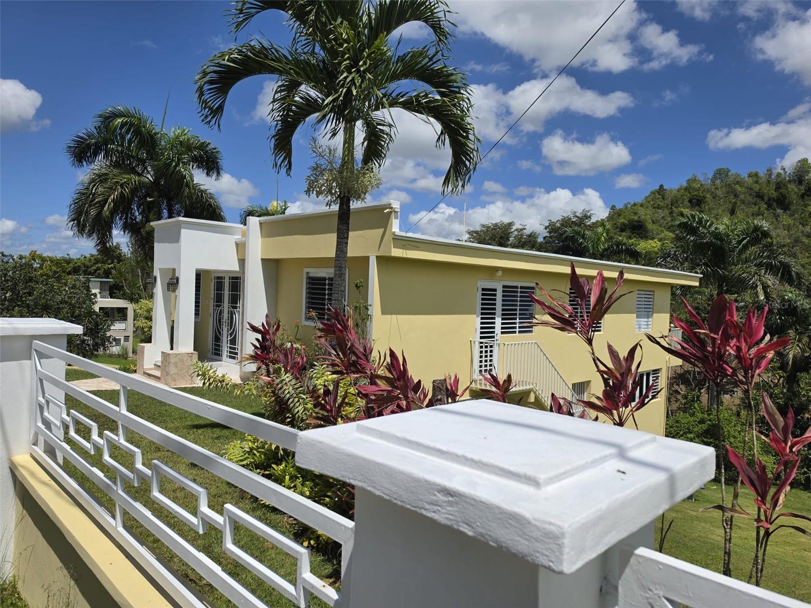 8c Clavel St. Property Photo 4