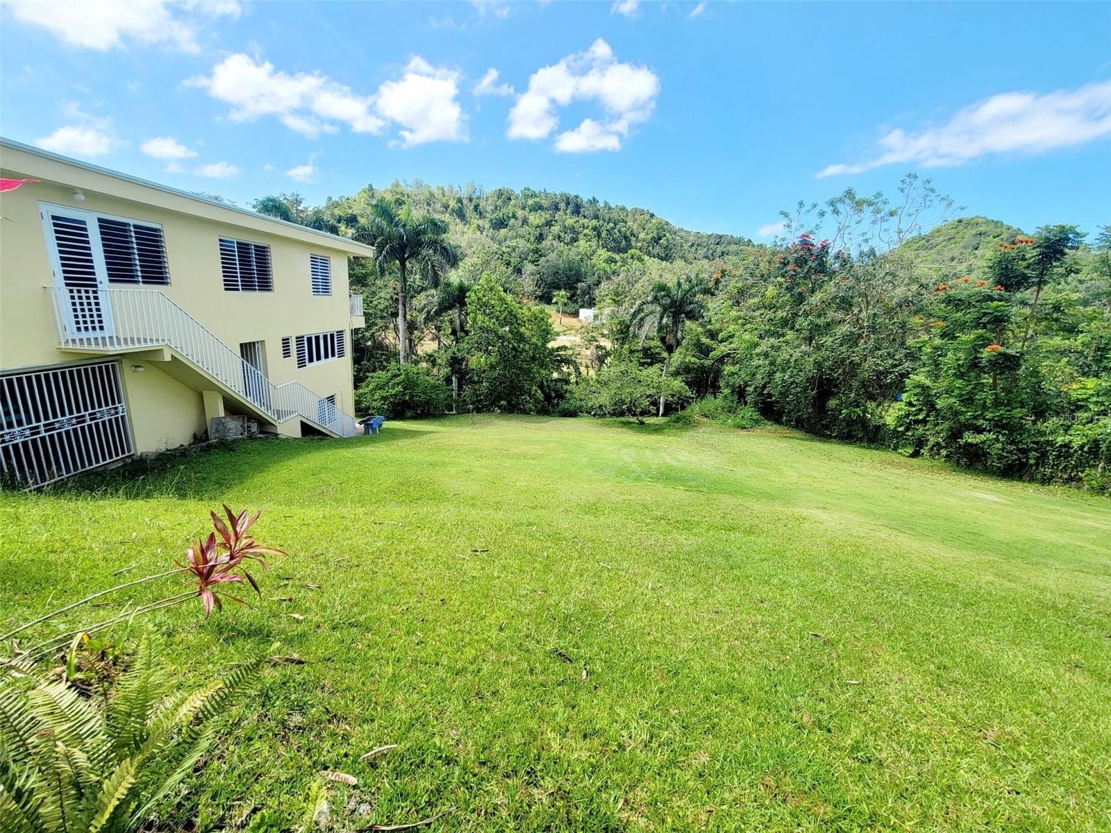 8c Clavel St. Property Photo 8