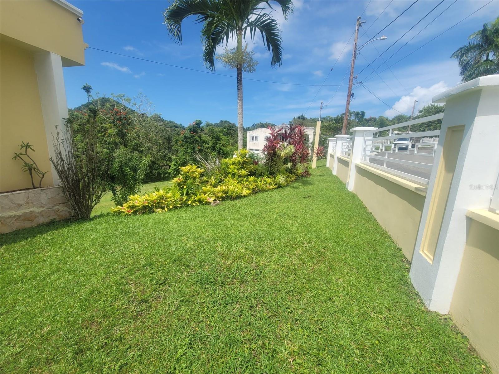 8c Clavel St. Property Photo 10
