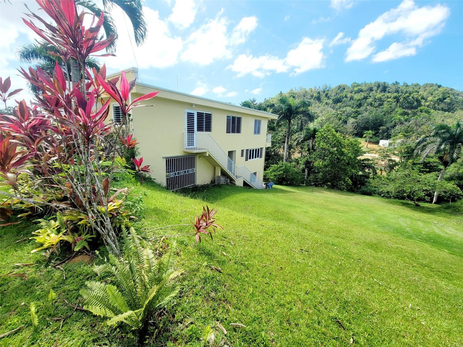 8c Clavel St. Property Photo 11