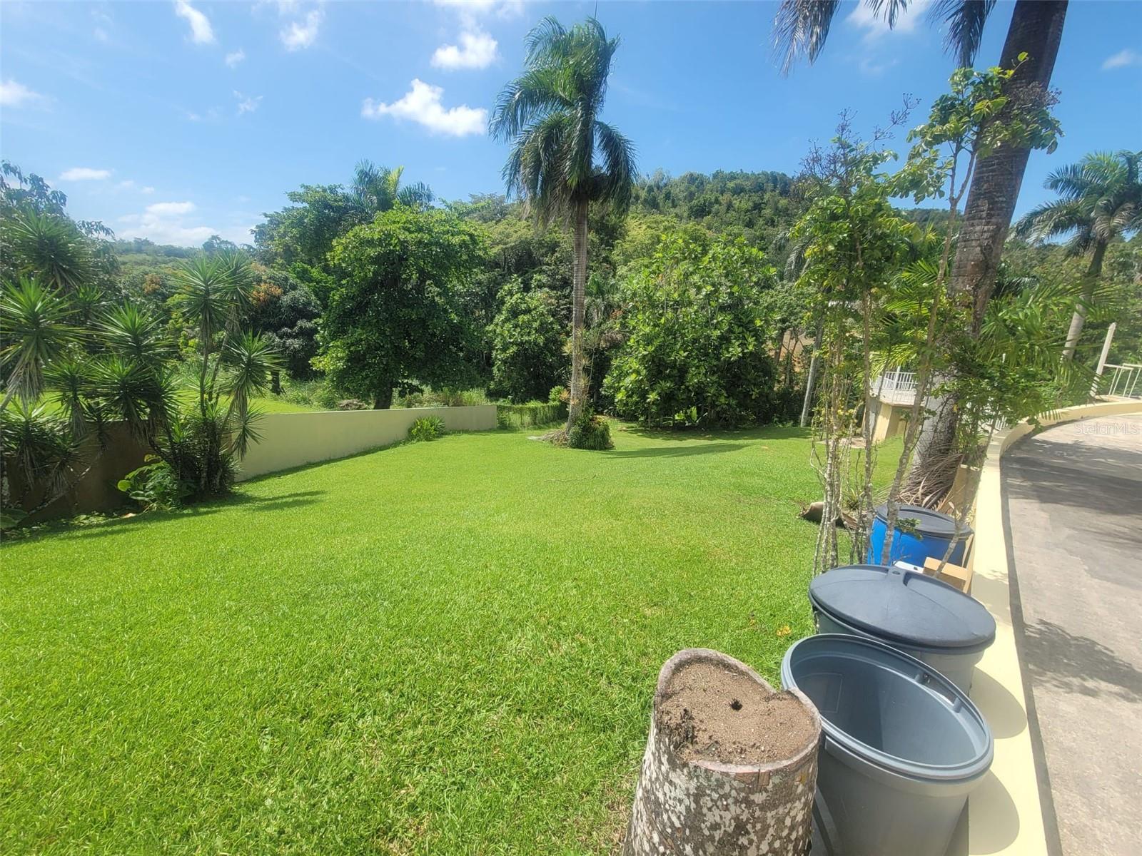8c Clavel St. Property Photo 16