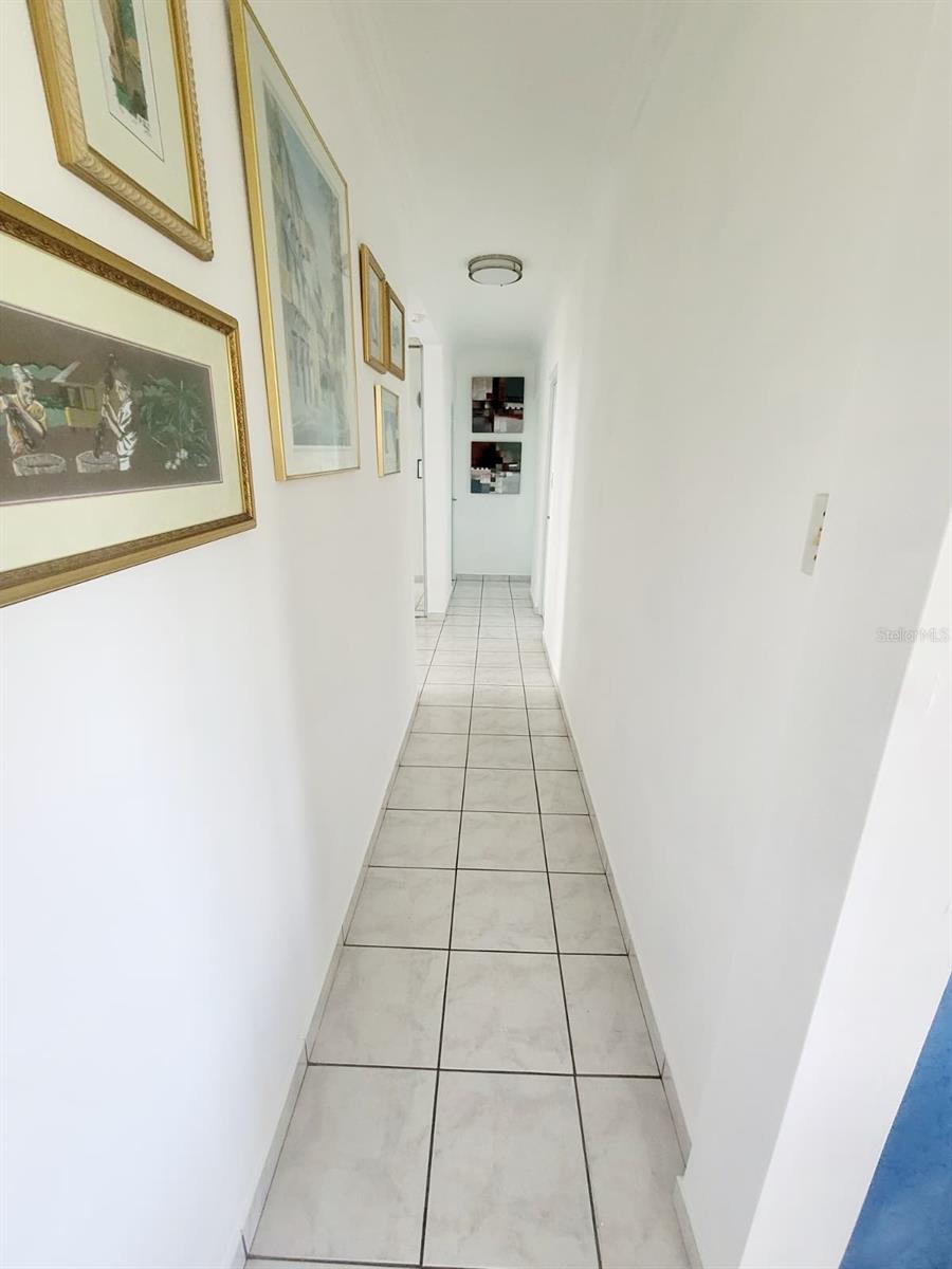 8c Clavel St. Property Photo 21