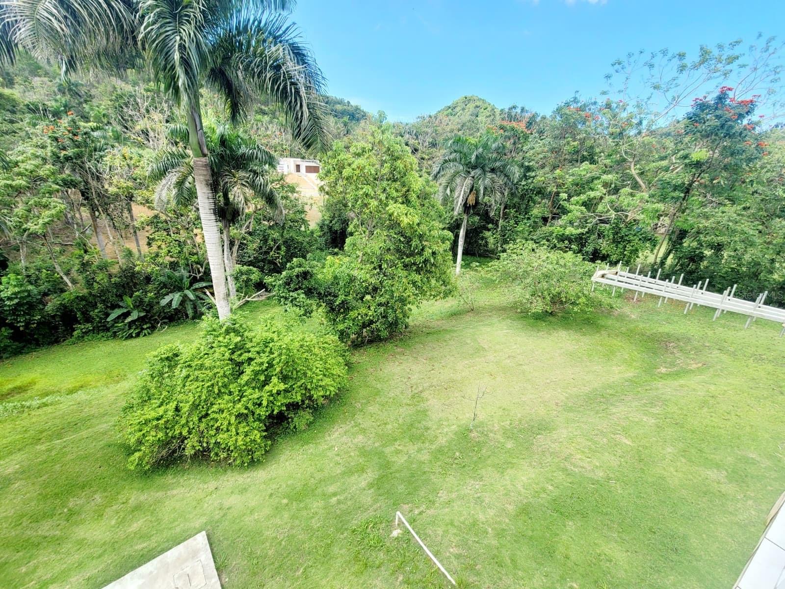 8c Clavel St. Property Photo 23