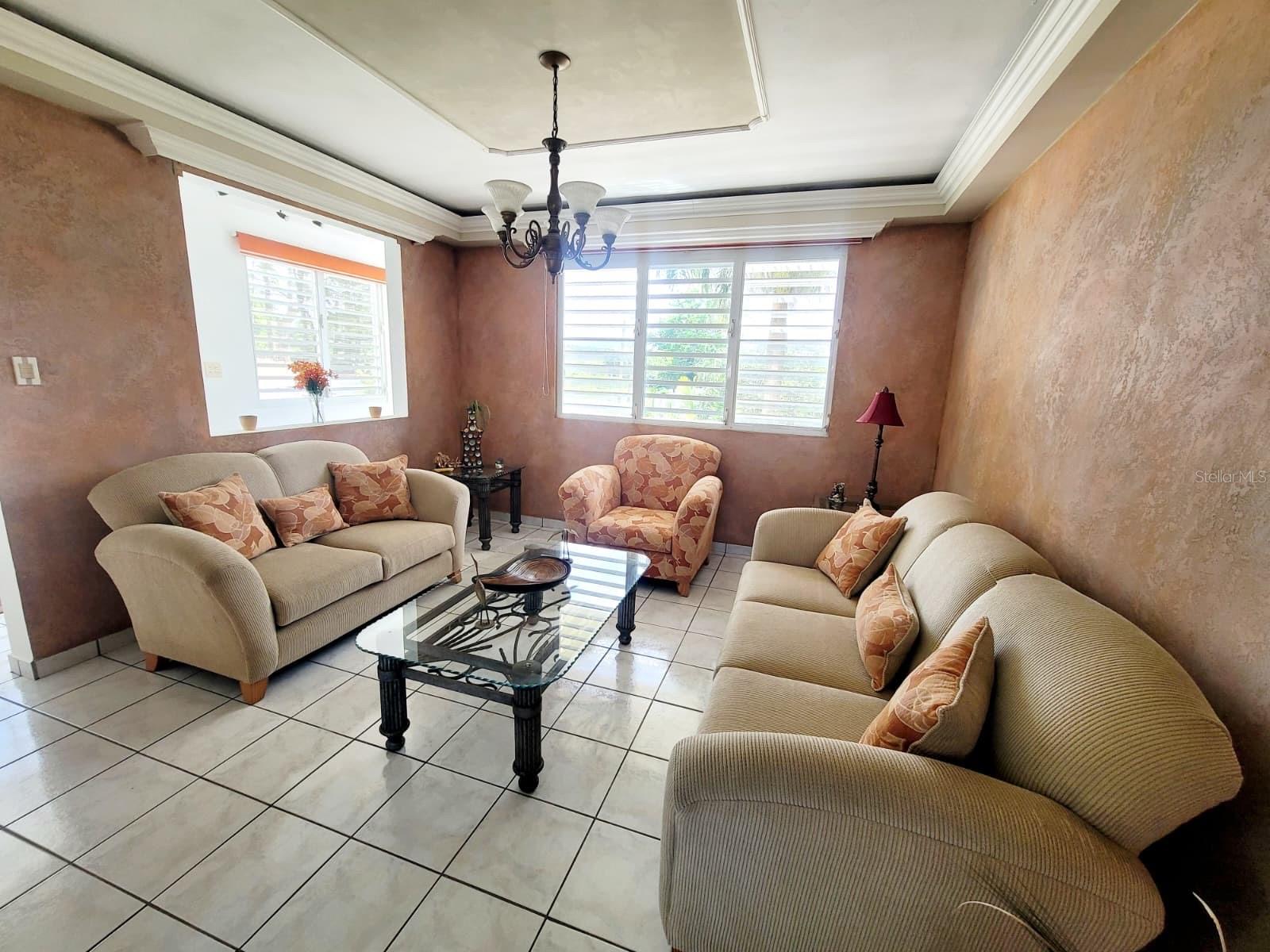 8c Clavel St. Property Photo 24