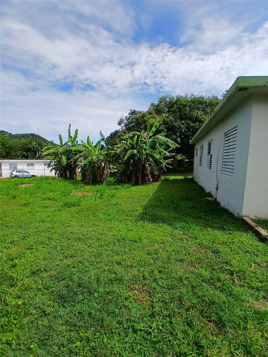 372 Sector Cotuy Property Photo 3