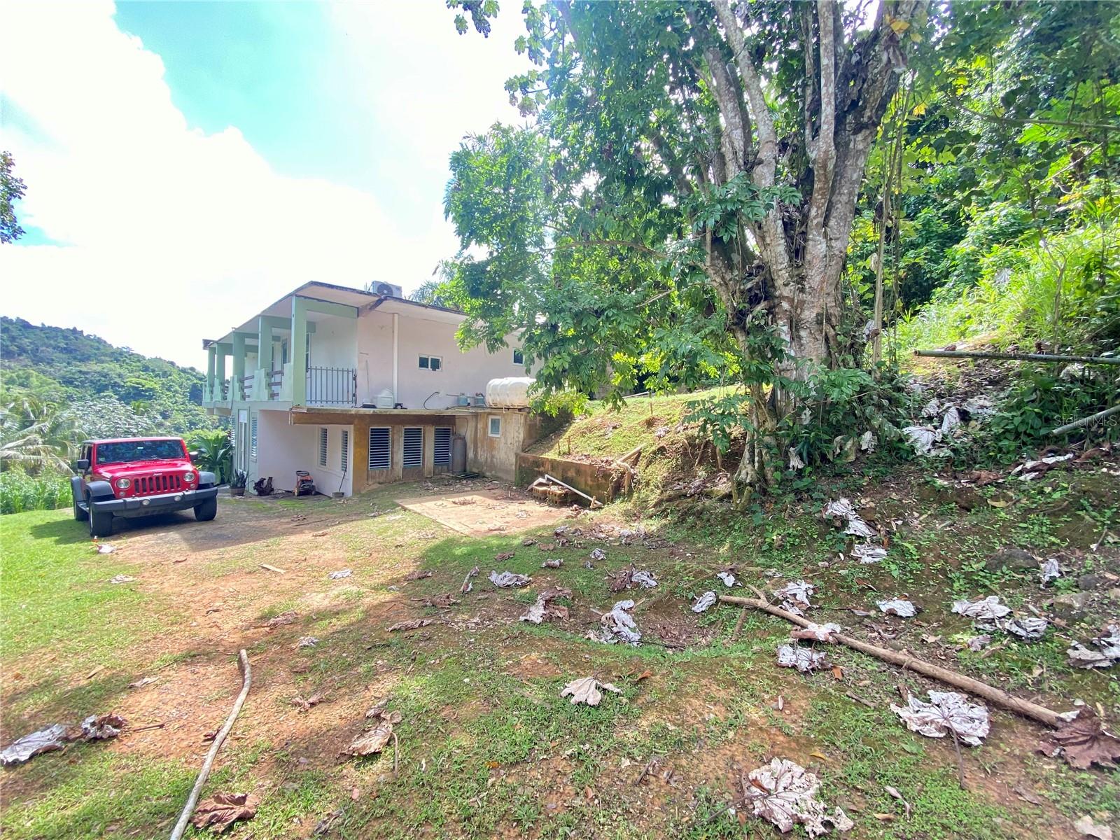 4.8 Carr. 784 Km Rd Property Photo 14