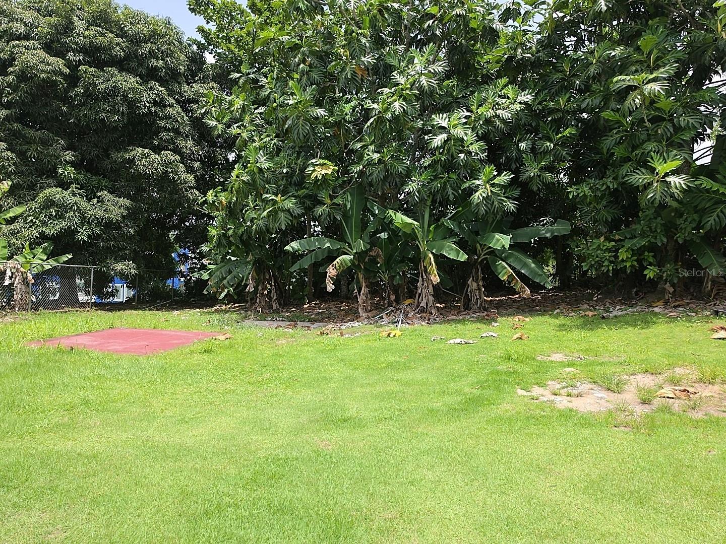 8 Calle Cascada Property Photo 20
