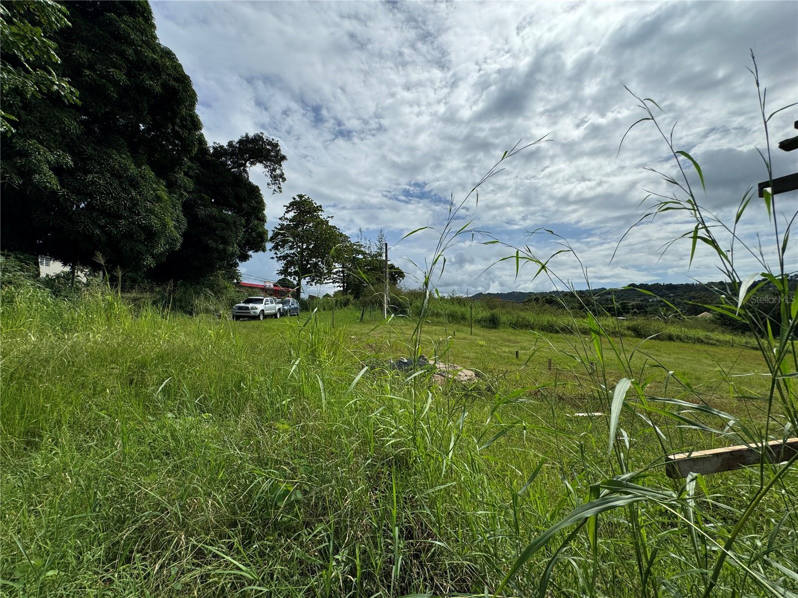 PR9121794 Property Photo 10