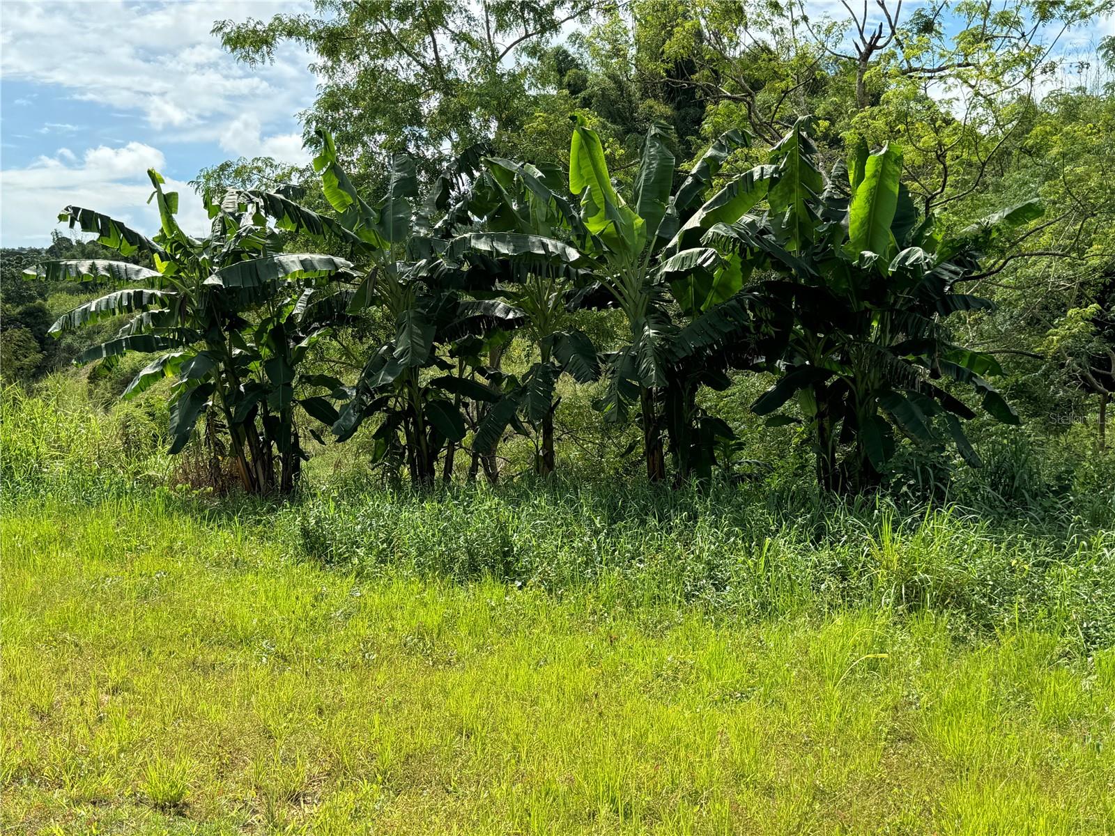 PR9121794 Property Photo 18