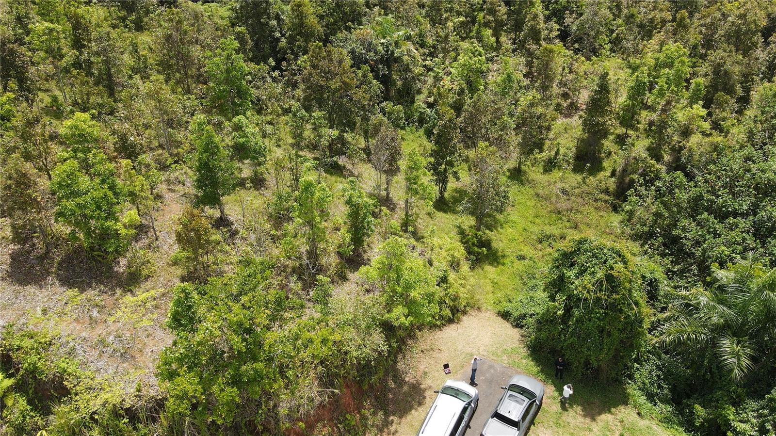 185 Km. 5.8 Bo Campo Rico Sector Peniel Property Photo 7