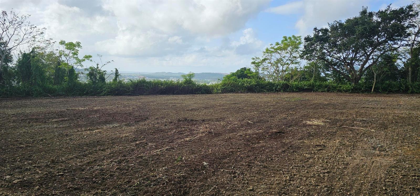 Mabo Property Photo 4