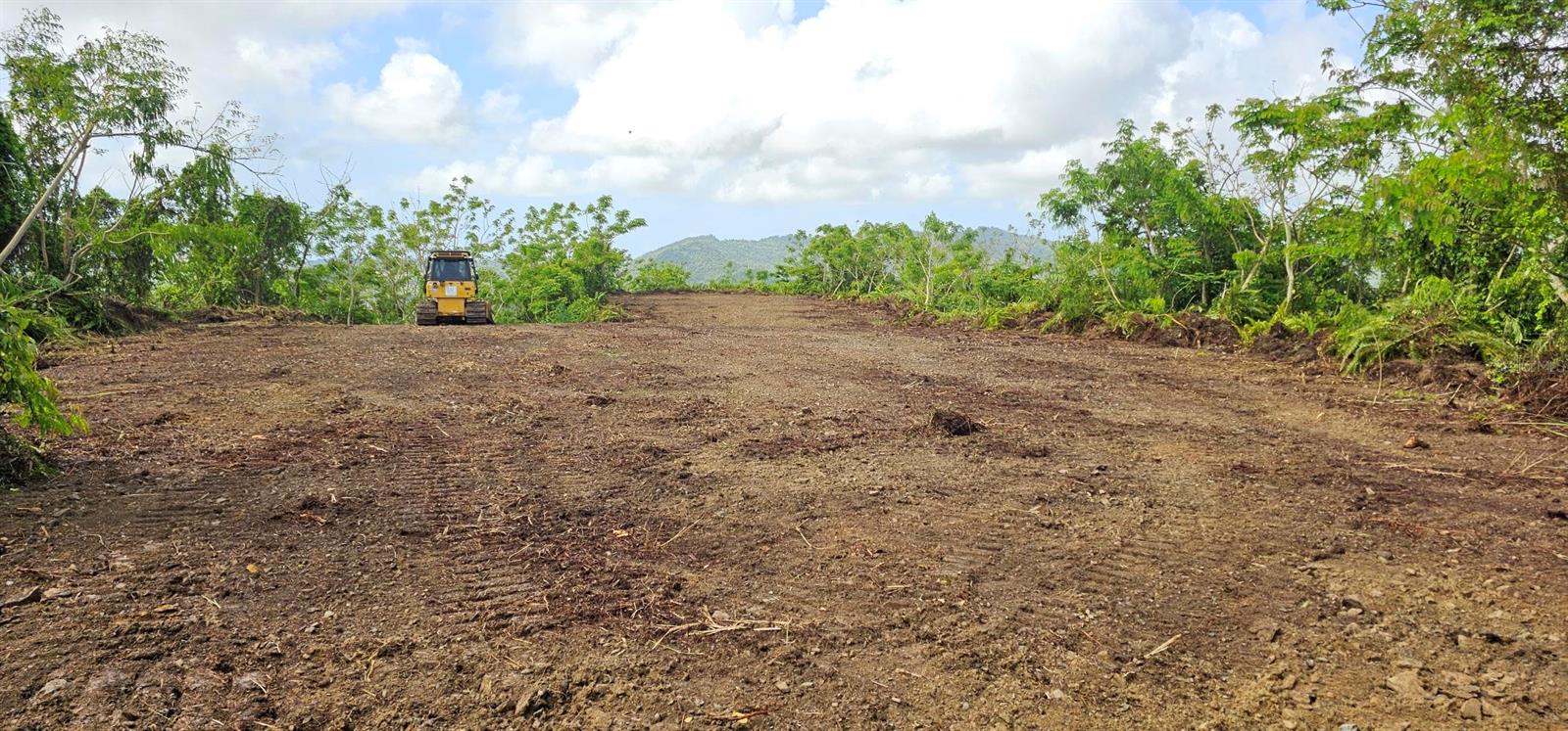 Mabo Property Photo 5