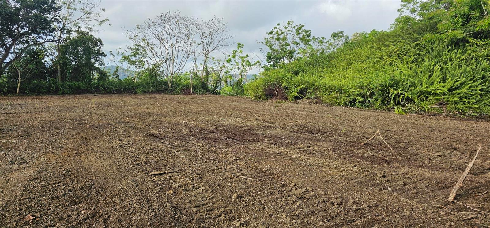Mabo Property Photo 6