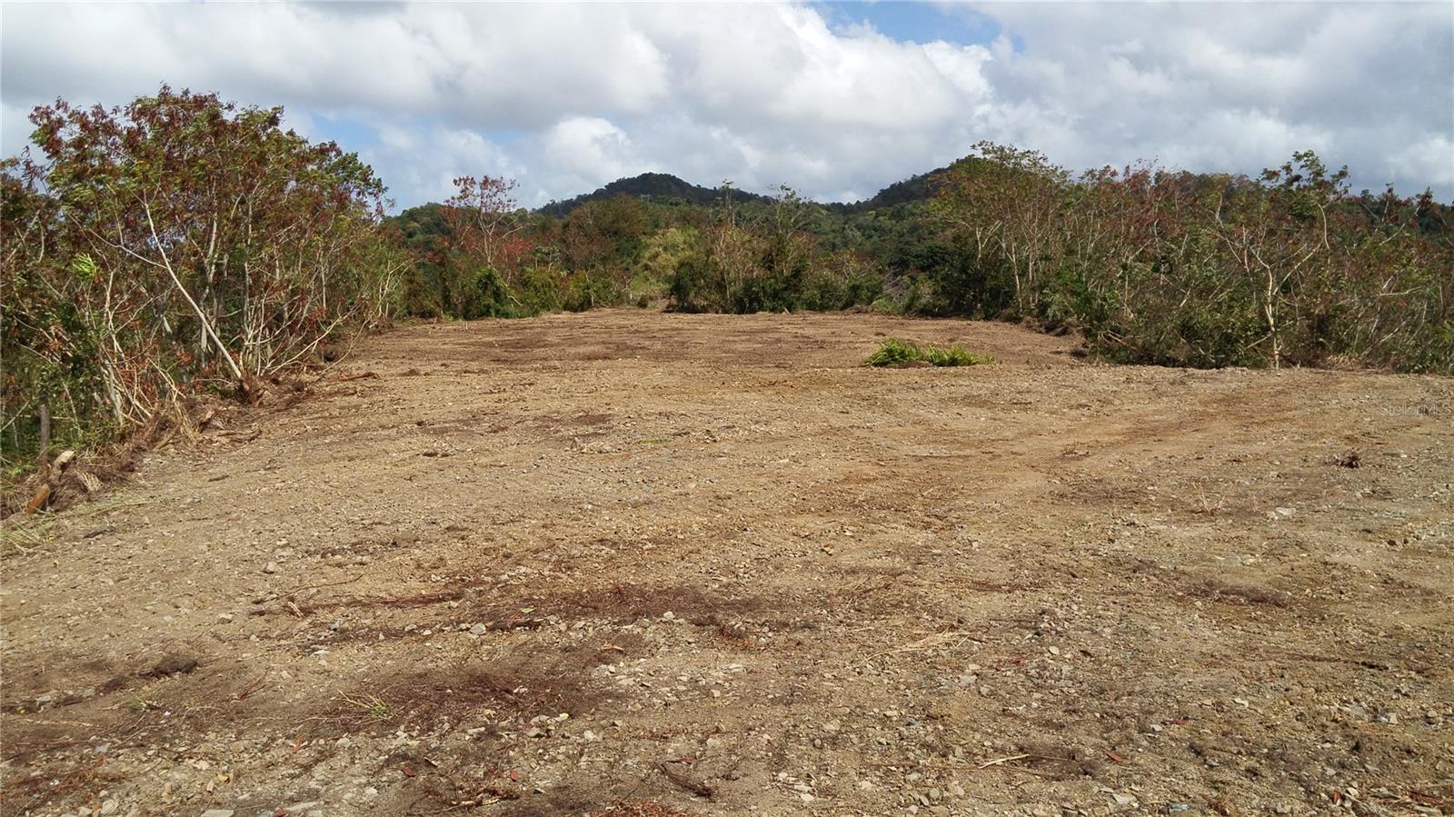 Mabo Property Photo 8