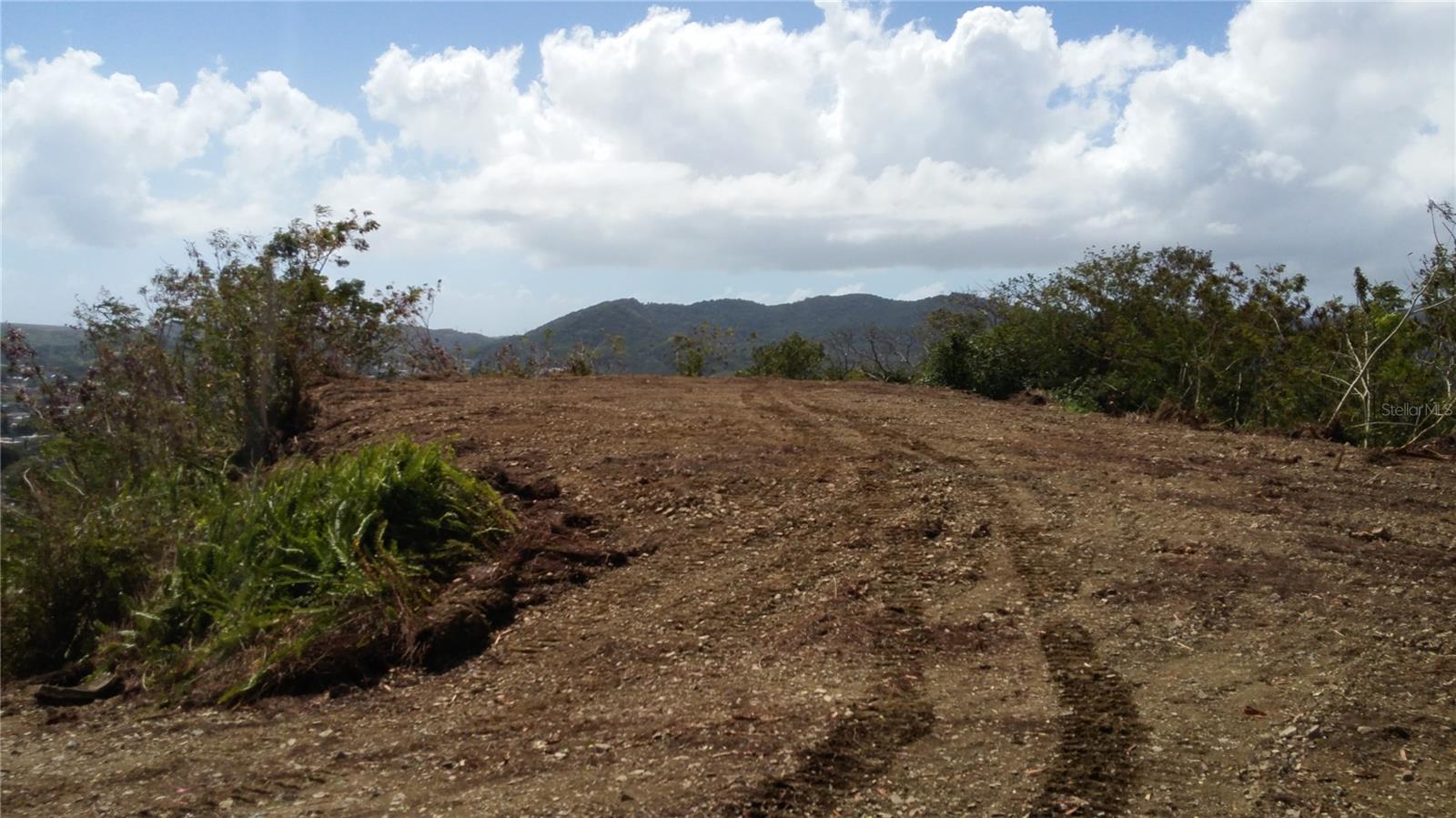 Mabo Property Photo 9
