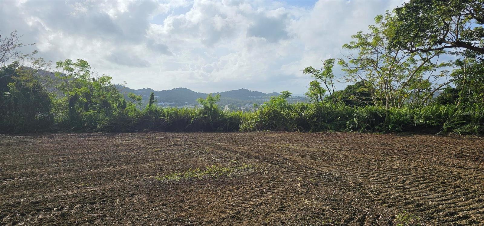 Mabo Property Photo 10