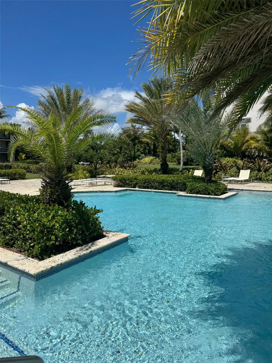 7000 Bahia Beach Blvd Property Photo 29