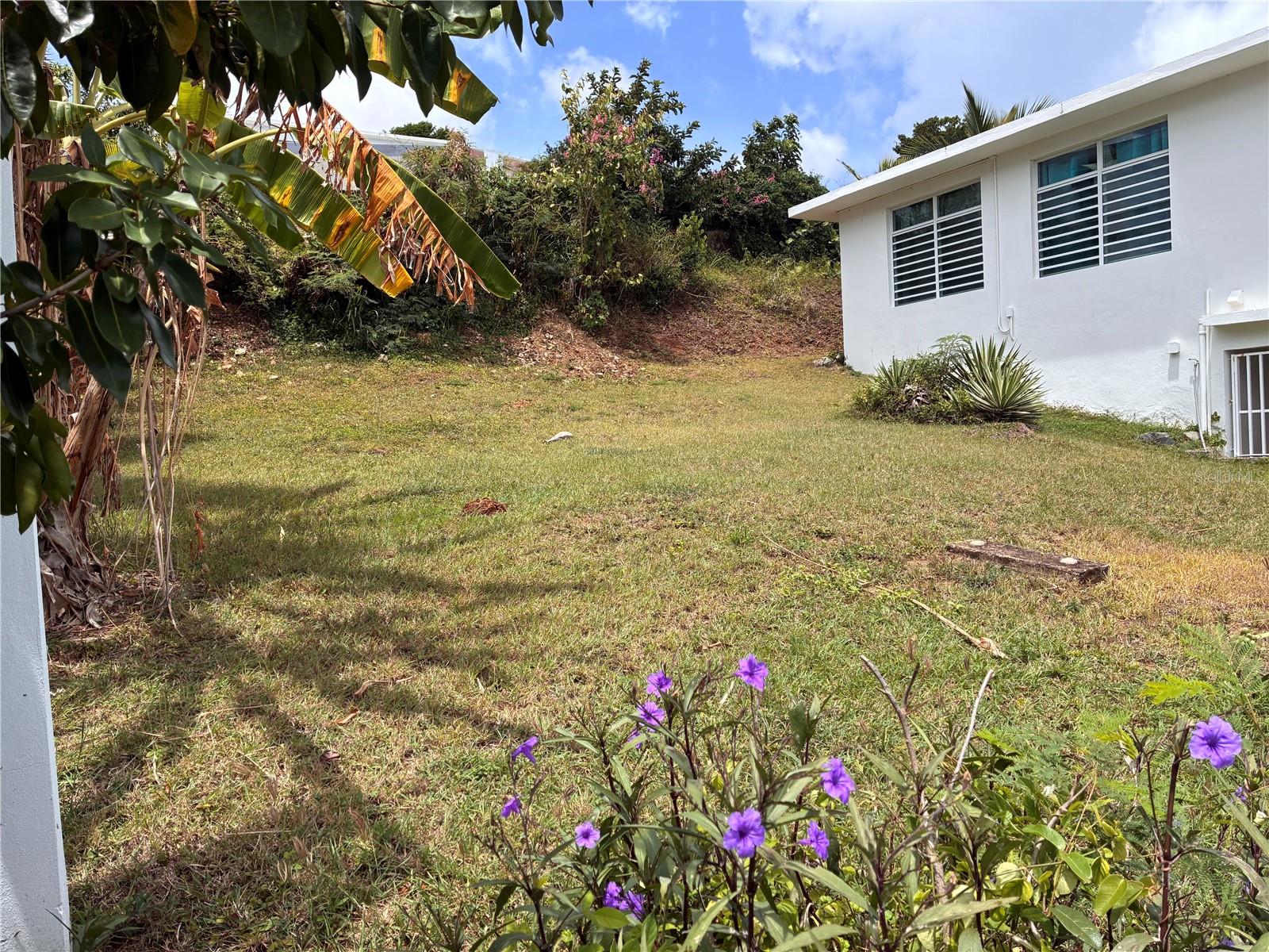 398 Casa Corazon Property Photo 6
