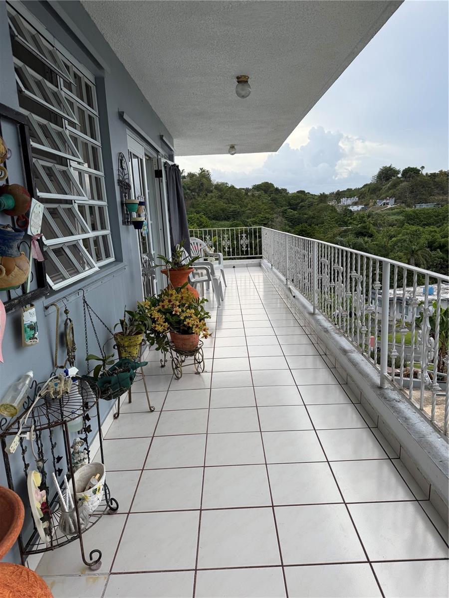 Sector Flor Sanchez Bo. Buena Vista Property Photo 12