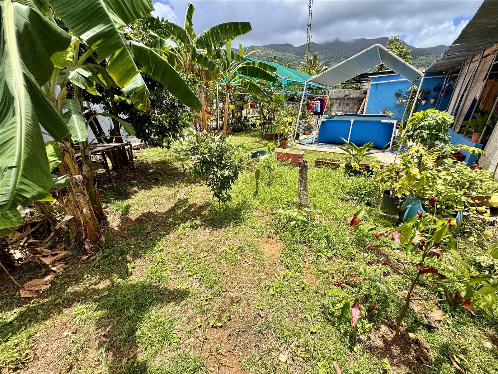 PR9121999 Property Photo 5
