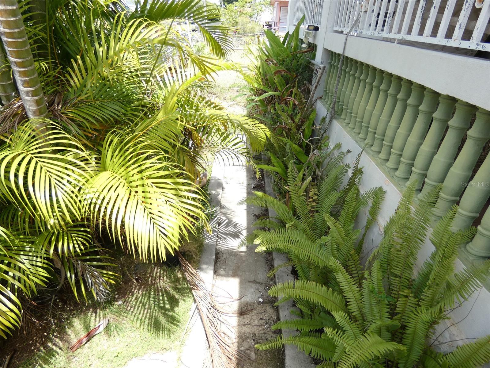 491 Calle Gladiola Property Photo 2